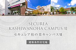 千葉県柏市十余二(底地)