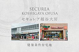 埼玉県越谷市大字大房字沼田712番10他
