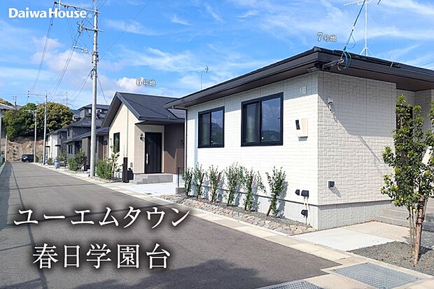 1号地