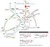 埼玉県越谷市東大沢一丁目6番9、6番10、6番11の一部：物件画像
