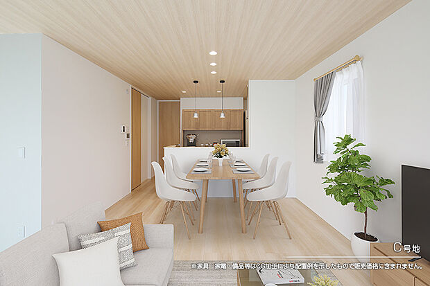 【C号地 リビング】C号地