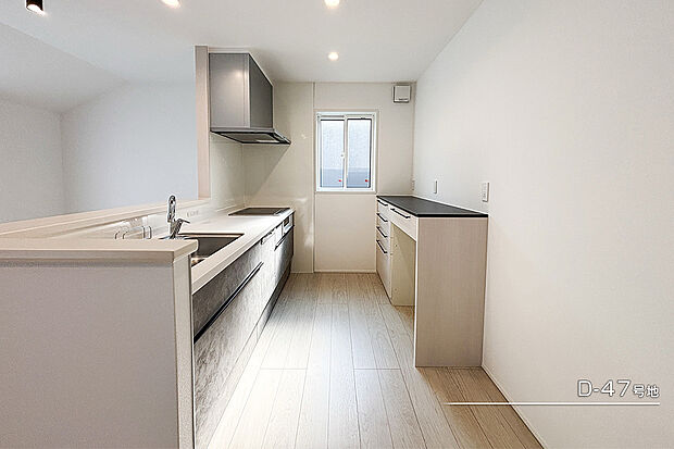 【D-47号地 キッチン】D-47号地