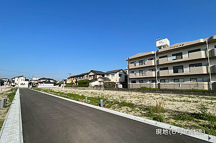 6号地 現地写真