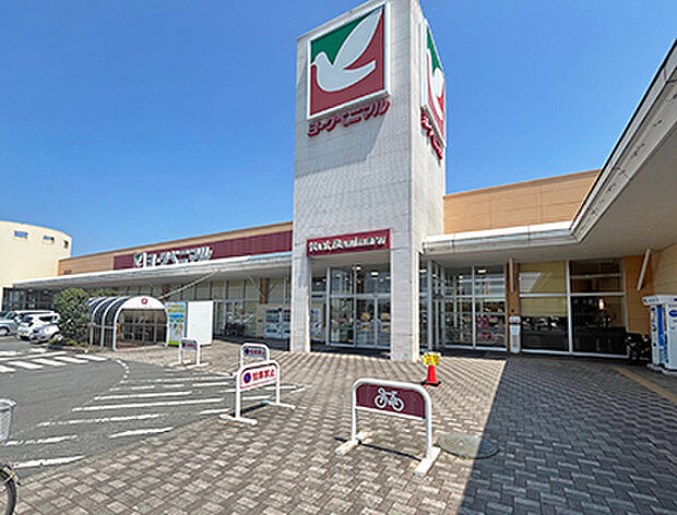 ツインズ笠原(ヨークベニマル・ダイソー)