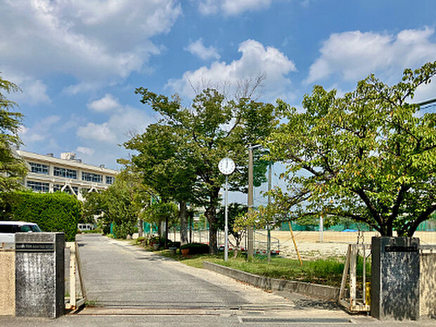 柏市立柏第三中学校