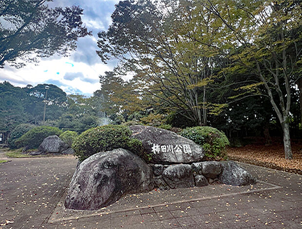 柿田川公園