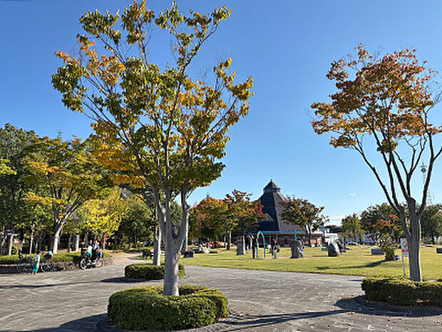 21世紀記念公園