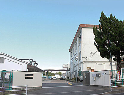 奈良市立鳥見小学校 約800m