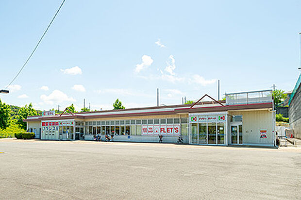 デイリーカナートはやし 阪南店