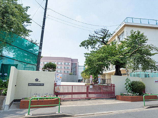 区立石神井東中学校