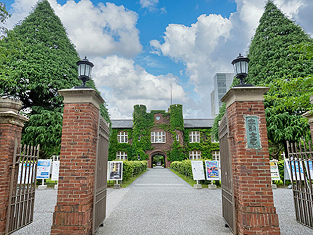 立教大学