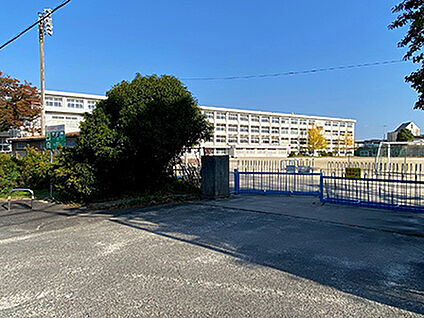 逢妻中学校 約1500m