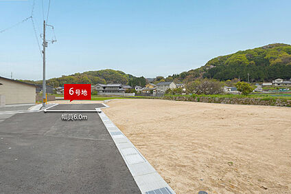 6号地 現地写真