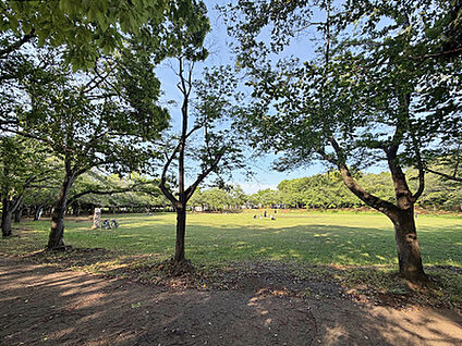 飯綱近隣公園 約220m