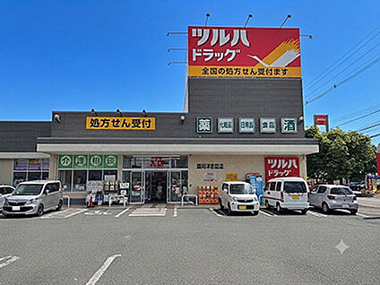 ツルハドラッグ盛岡津志田西店 約500m