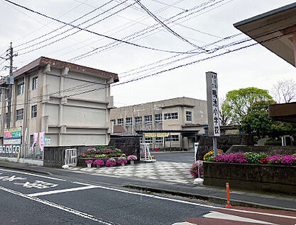 鹿児島市立鴨池小学校 約400m