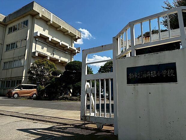 柏市立酒井根小学校(約850m)