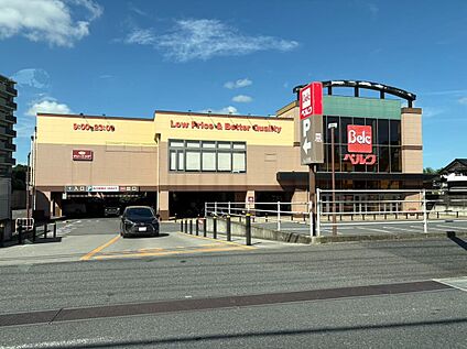ベルク柏しこだ店 約650m(徒歩9分)