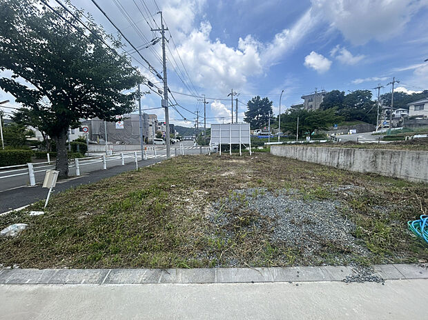 現地1号地(2026年7月撮影)