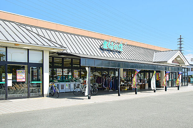 主婦の店宮田店(約130m)