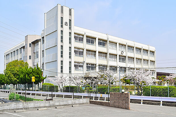市立大津茂小学校(約640m)