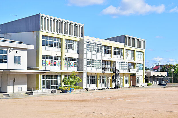 市立伊保小学校(約300m)