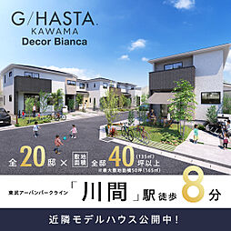 千葉県野田市尾崎字堂山373番、374番、379番1