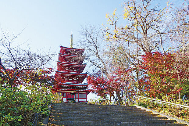 本土寺（現地より徒歩14分）