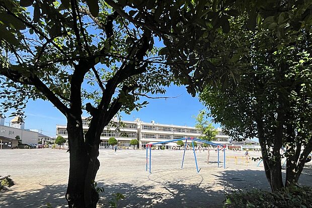 流山小学校（現地より徒歩12分）