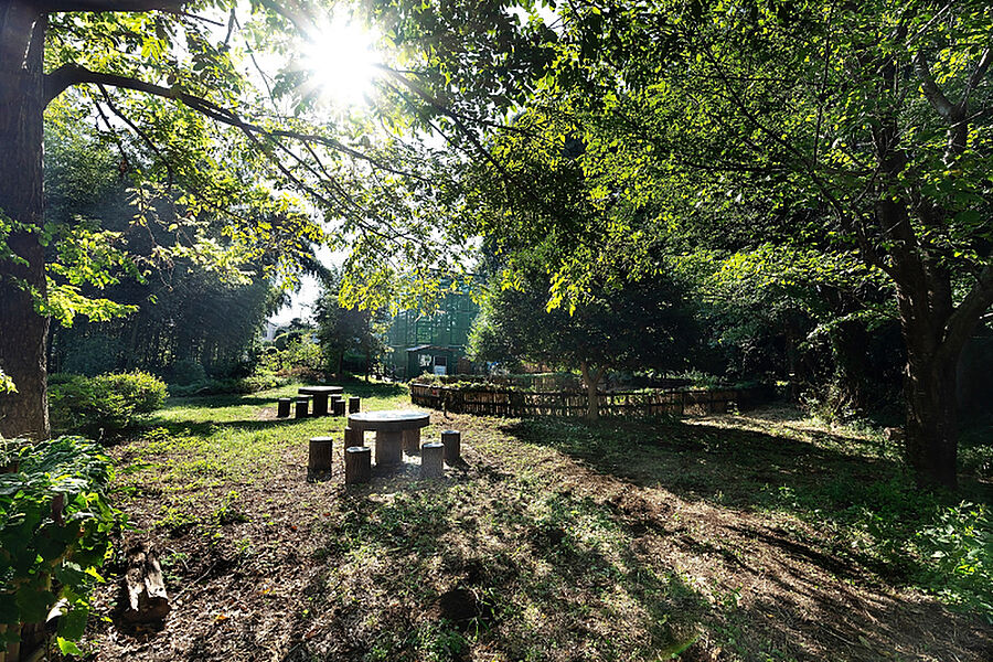 清瀬金山緑地公園