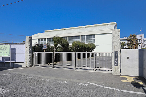 三橋小学校（現地より徒歩5分）