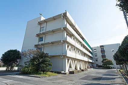 七林小学校（現地より徒歩8分） 約590m