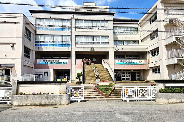 鷺後小学校(現地より徒歩5分)