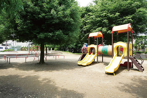 中丸公園(現地より徒歩2分)