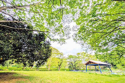 滝の城址公園（現地より徒歩2分） 約150m