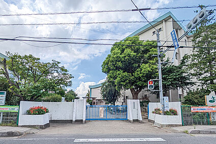 八木崎小学校（現地より徒歩14分） 約1070m