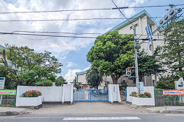 八木崎小学校（現地より徒歩14分）