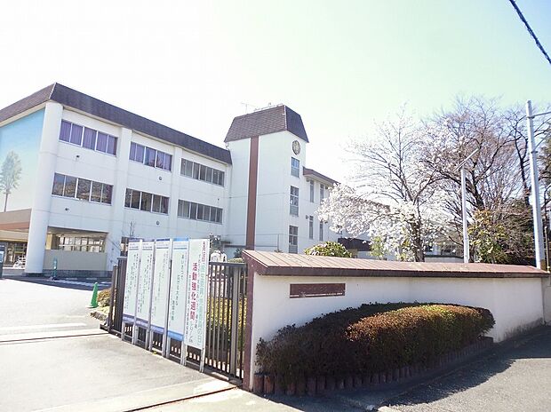 本庄市立本庄東小学校(約700m)