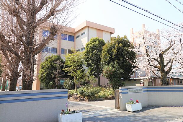 加須市立昭和中学校(約1,300m)