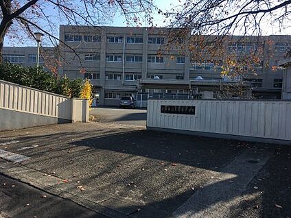 深谷市立上柴東小学校 徒歩1300m