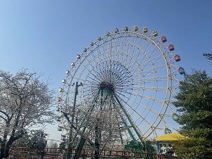 華蔵寺公園 徒歩600m