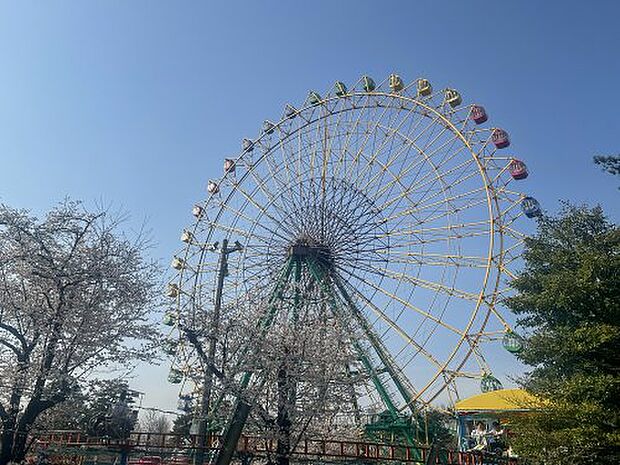 華蔵寺公園