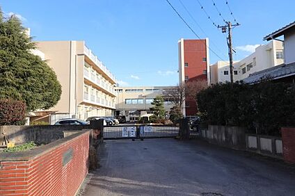 高崎市立乗附小学校 徒歩250m