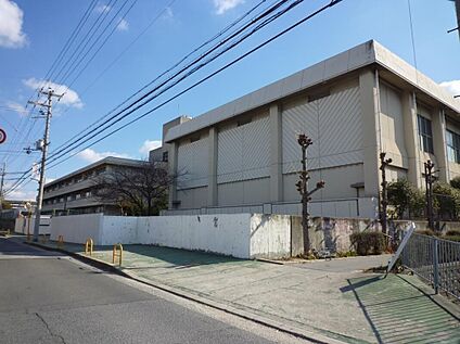 藤井寺市立第三中学校 約1600ｍ(徒歩約20分)