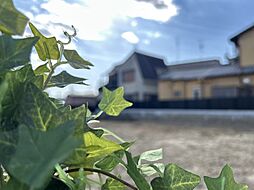 大阪府松原市天美北5丁目