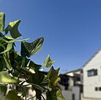 大阪府大阪市住吉区墨江4丁目：物件画像