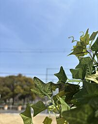 大阪府大阪市平野区加美東6丁目