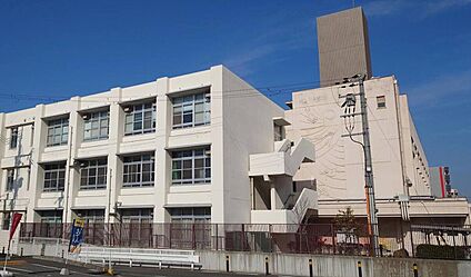 まつば小学校 約290m(徒歩4分)