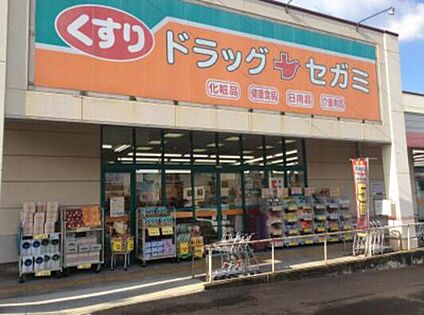 ドラッグセガミ 黒土店 約500m(徒歩7分)