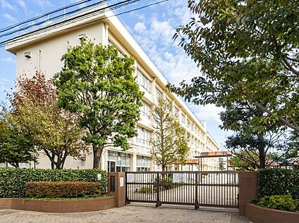 練馬区立練馬東中学校 510m